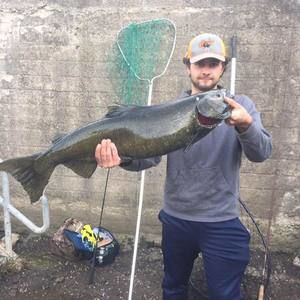 Meet your Posher, Joel